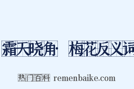 霜天晓角·梅花反义词是什么意思的图片